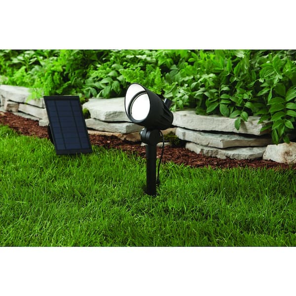 100 Lumens Black LED Outdoor Solar Metal Spotlight