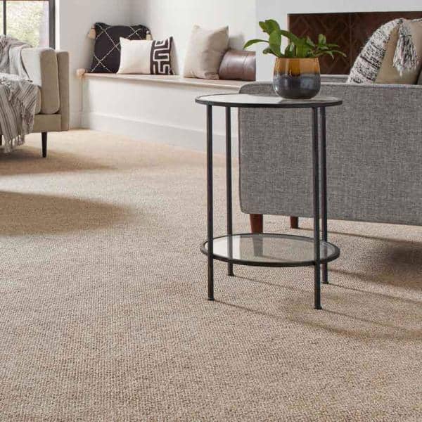 Hanville  - Tender Moment - Beige 27 oz. SD Polyester Loop Installed Carpet