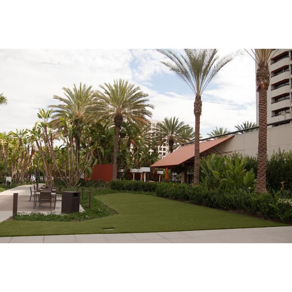 3D-W Premium 65 Fescue 15 ft. Wide x Cut to Length Green Artificial Grass Carpet