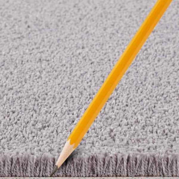 Gazelle II  - Stone - Beige 55 oz. Triexta Texture Installed Carpet