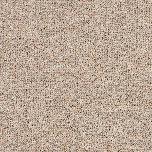 Lanwick  - Southwest - Brown 19 oz. Polyester Pattern Installed Carpet