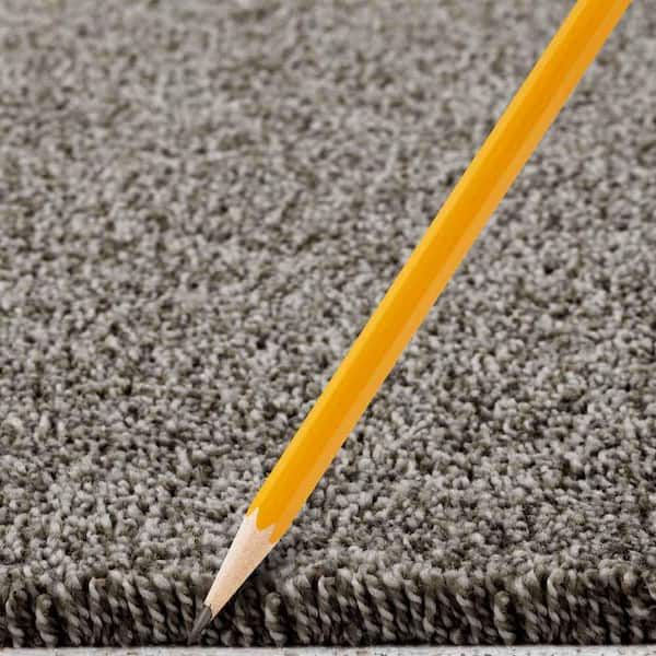 Tides Edge  - Wind Chime - Gray 50 oz. Triexta Texture Installed Carpet