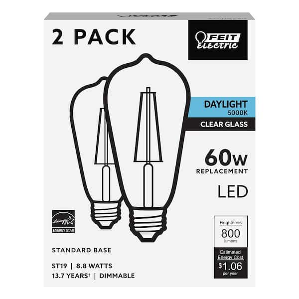 60W Equivalent ST19 CEC Dimmable Straight Filament Clear Glass E26 Vintage Edison LED Light Bulb Daylight 5000K (2-Pack)