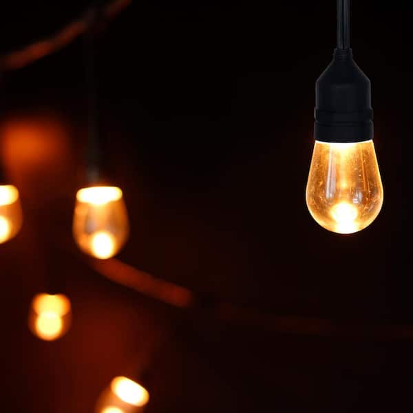 Outdoor/Indoor 24 ft. Plug-In Edison Bulb Color Changing LED String Lights with Remote Control