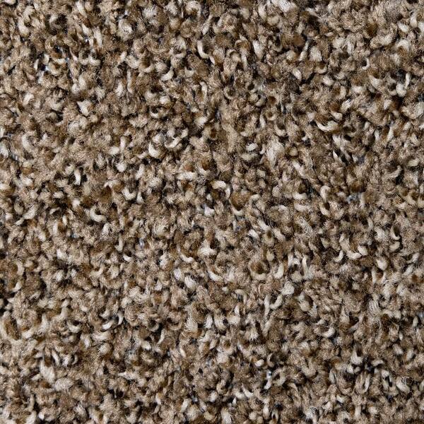 Truly - Coffee - Brown 12 ft. Wide x Cut to Length 16 oz. SD Polyester Texture Carpet