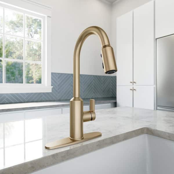 Meena Single-Handle Pull-Down Sprayer Kitchen Faucet with Power Clean and Reflex in Bronzed Gold