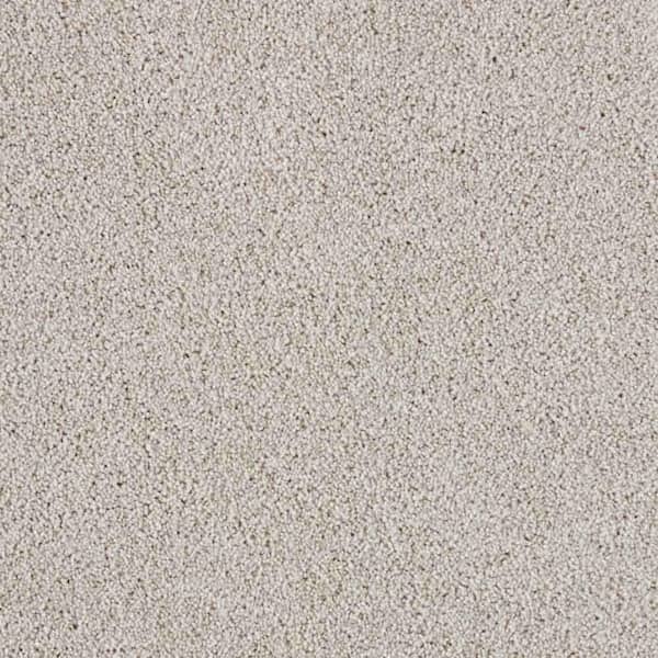 Tides Edge  - Biscuit - Brown 50 oz. Triexta Texture Installed Carpet