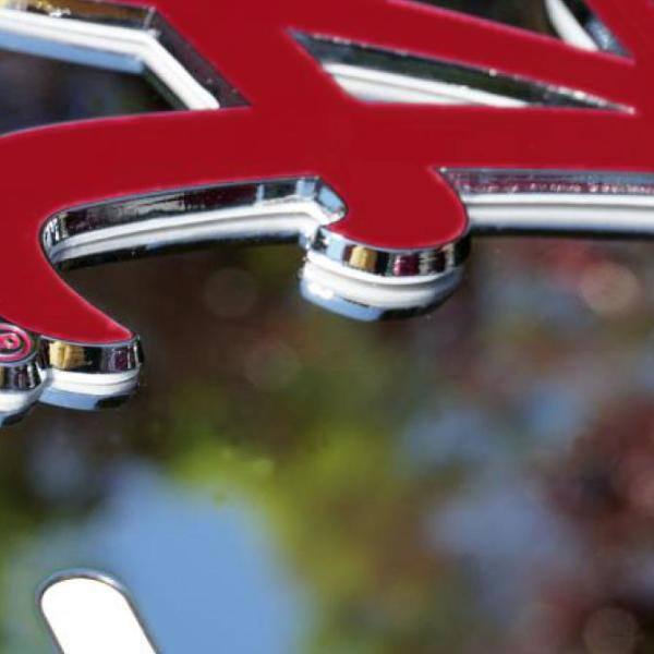 6 in. x 12 in. NCAA University of Tennessee Stainless Steel Die Cast License Plate