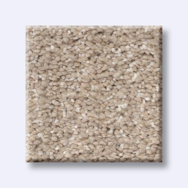 Fluffy Expectations - Granola - Brown 56.2 oz. Nylon Texture Installed Carpet