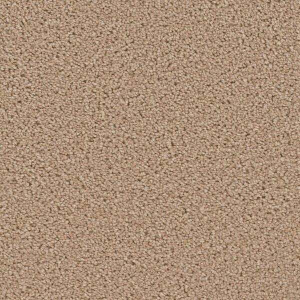 Added Value  - Dignity - Beige 24 oz. SD Polyester Texture Installed Carpet