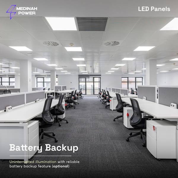 2x4 LED Back-Lit Panel, Adjustable Watt and CCT with 12V Aux and Usmart Cover (4-Pack)