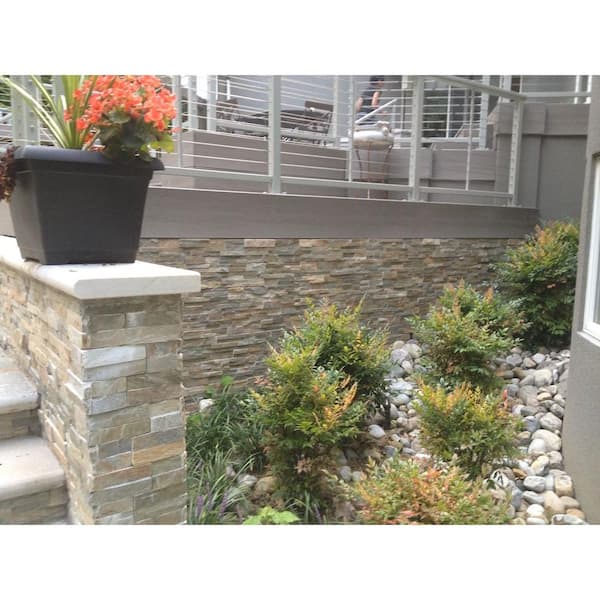 Golden Honey Ledger Panel 6 in. x 24 in. Natural Quartzite Wall Tile (6 sq. ft./case)