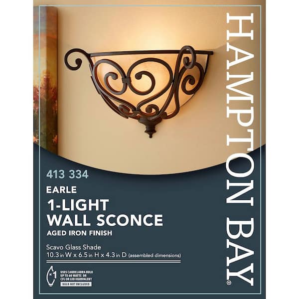 Earle 1-Light Aged Iron Half Sconce with Scavo Glass Shade