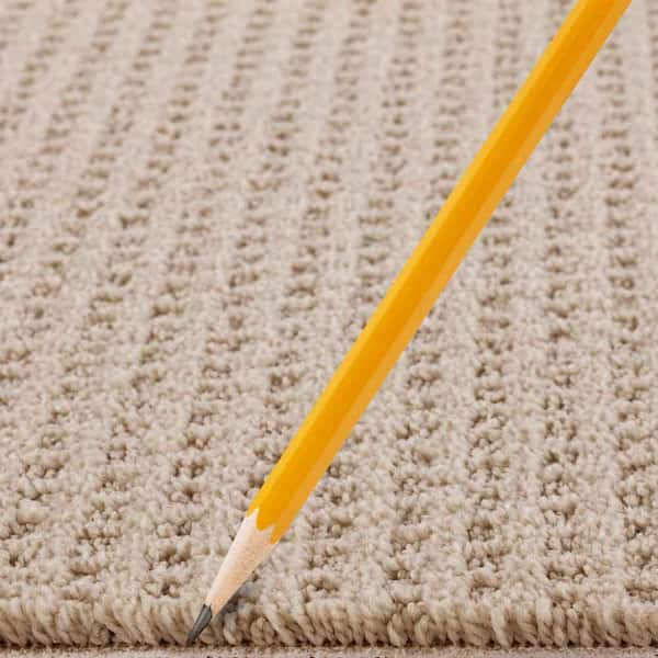 Game Face  - Bone - Beige 31 oz. Triexta Texture Installed Carpet