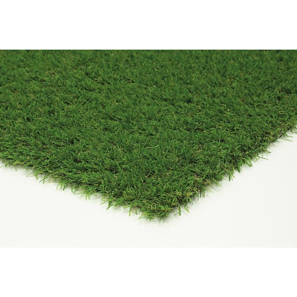 Turf 6 ft. x 9 ft. Green Artificial Grass Rug