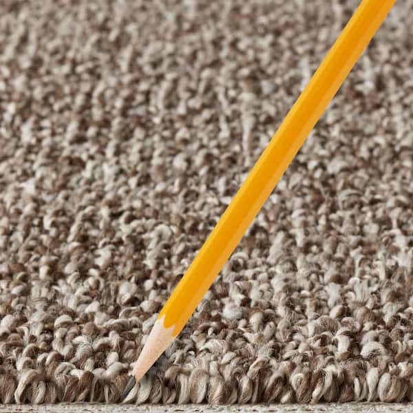 Hanville  - Gable - Brown 27 oz. SD Polyester Loop Installed Carpet