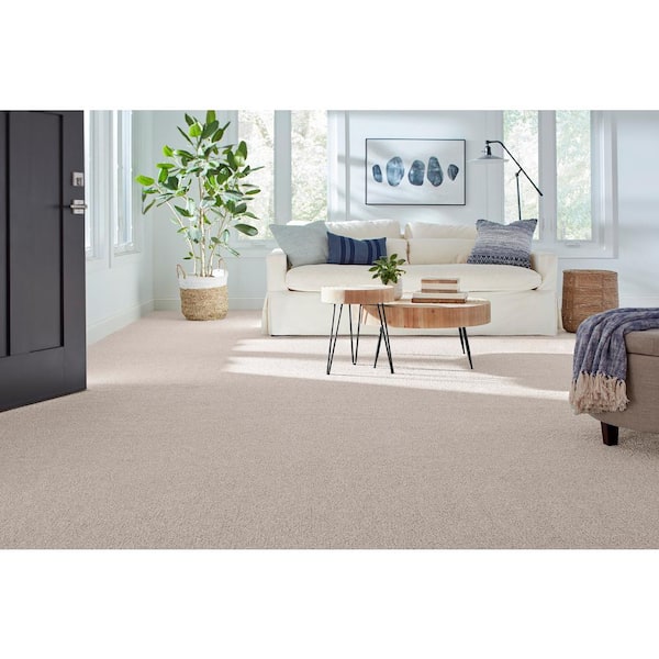 Northern Hills II Froz.en Lake Grey 54 oz. Triexta Texture Installed Carpet