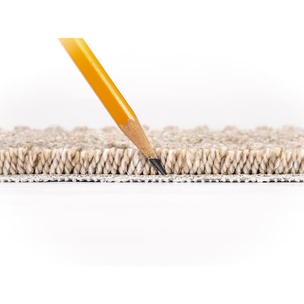 Dovetail  - Notch - Beige 45 oz. SD Polyester Pattern Installed Carpet