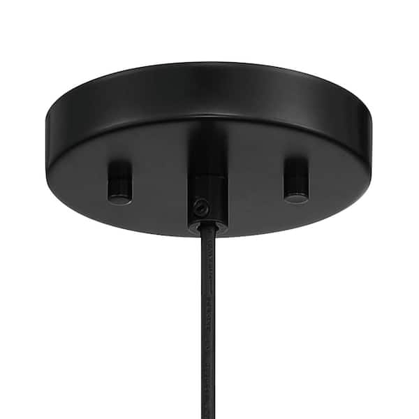 Linnea 60-Watt 1-Light Black Pendant with Stained Cane Shade