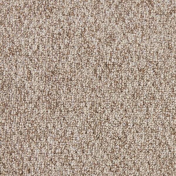 Lanwick  - Tender Moment - Beige 19 oz. Polyester Pattern Installed Carpet
