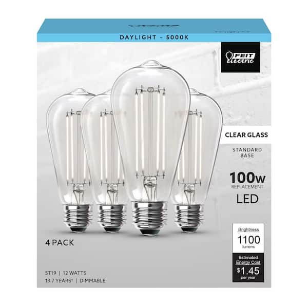 100-Watt Equivalent ST19 Dimmable Straight Filament Clear Glass E26 Vintage Edison LED Light Bulb, Daylight (16-Pack)