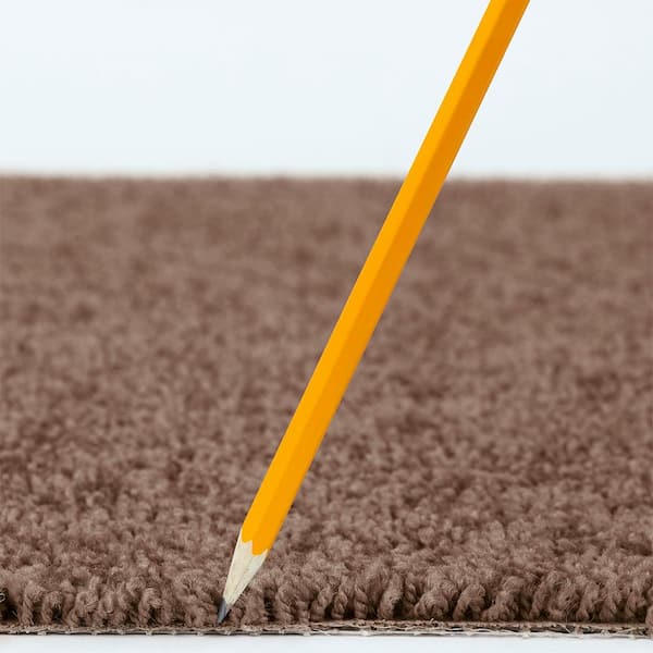 Alpine - Adventure - Brown 17.3 oz. Polyester Texture Installed Carpet