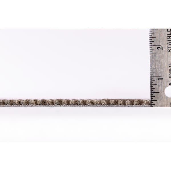 Georgetown Goodman Residential/Commercial 24 in. x 24 in. Glue-Down Carpet Tile (18 Tiles/Case) (72 sq.ft)