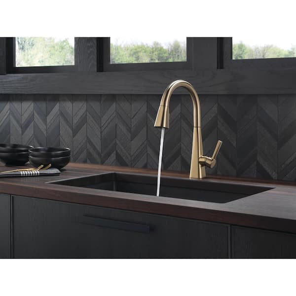 Lenta Single-Handle Pull-Down Sprayer Kitchen Faucet with ShieldSpray Technology in Champagne Bronze