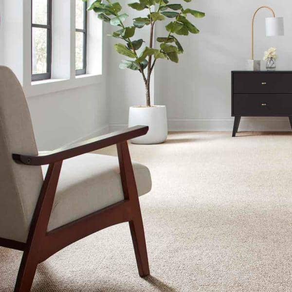 Hanville  - Linen - Beige 27 oz. SD Polyester Loop Installed Carpet