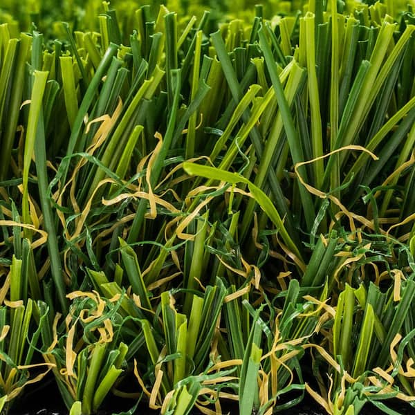 Santa Monica Fescue Pro 15 ft. Wide x Cut to Length Green Artificial Grass Carpet