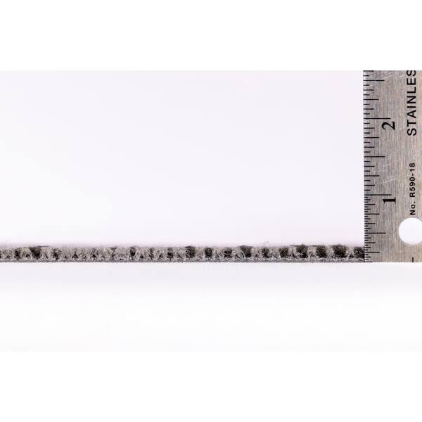 Pengrove Bell Residential/Commercial 24 in. x 24 in. Glue-Down Carpet Tile (18 Tiles/Case) (72 sq.ft)