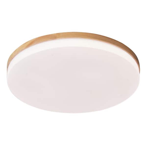 15 in. 1-Light White Creative Design Simple Circle 25-Watt Integrated LED Flush Mount Ceiling Lighting