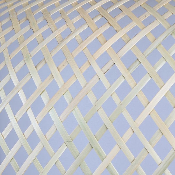 Bayneswood 60-Watt 1-Light Natural Cane Pendant With Black Accents