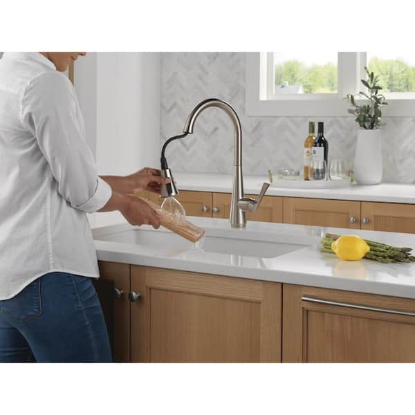 Banks Single-Handle Pull-Down Sprayer Kitchen Faucet with ShieldSpray in Stainless
