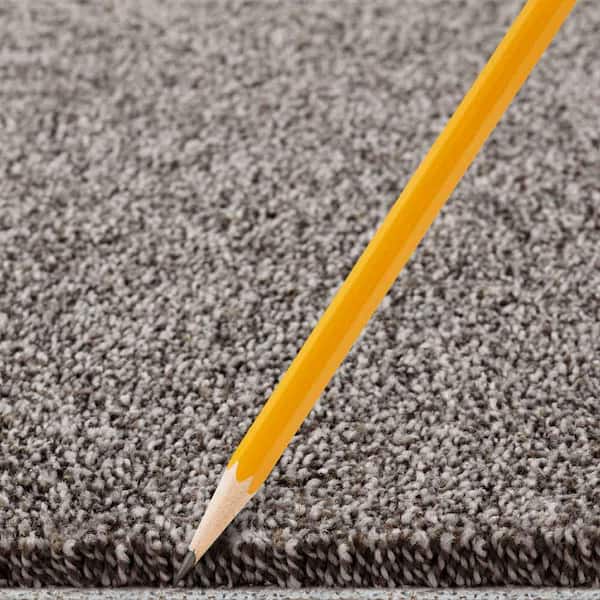 Phenomenal II  - Tradewind - Gray 62.7 oz. Triexta Texture Installed Carpet