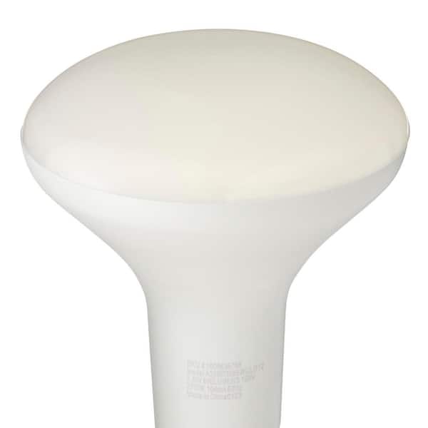 65-Watt Equivalent BR30 Dimmable Flood LED Light Bulb Soft White (12-Pack)
