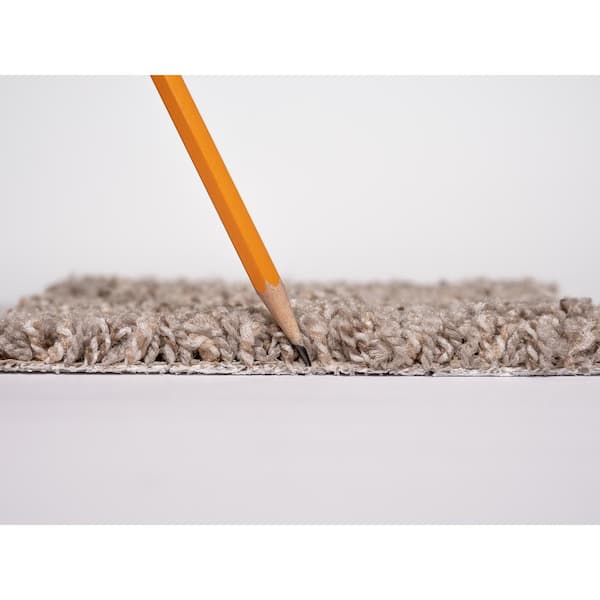 Wonder - Stunner - Gray 20 oz. SD Polyester Texture Installed Carpet