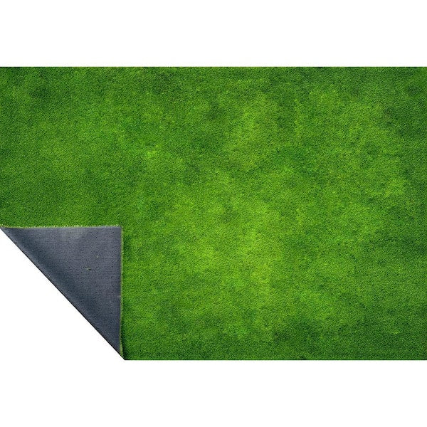 Boise Premium 65 15 ft. Wide x Cut to Length Green Artificial Grass Carpet