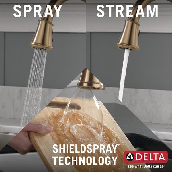 Cassidy Single-Handle Pull-Down Sprayer Kitchen Faucet in Lumicoat Champagne Bronze