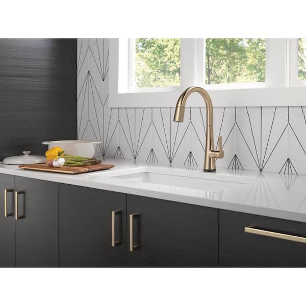 Monrovia Single-Handle Pull Down Sprayer Kitchen Faucet with Touch2O Technology in Lumicoat Champagne Bronze