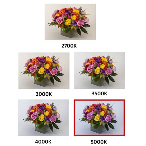 8 ft. 600-Watt Equivalent Integrated LED White Strip Light Fixture, 5000K