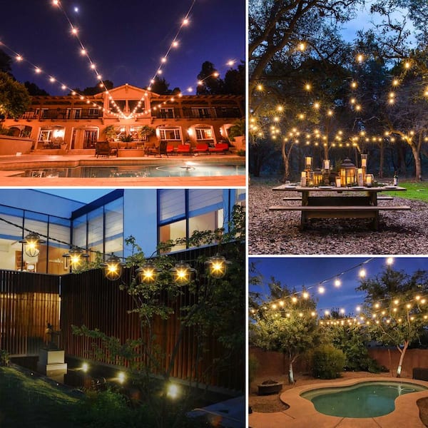 10-Light Outdoor/Indoor 10 ft. Plug-in Globe Bulb Shape Rustic Farmhouse G40 Cage String Lights, Black