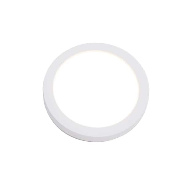 Round 5 in. 1-Light White LED Flush Mount