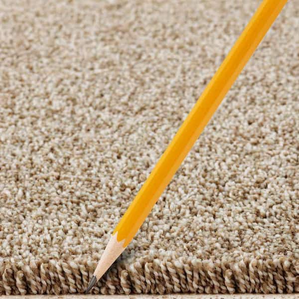 Tides Edge  - Praline - Beige 50 oz. Triexta Texture Installed Carpet