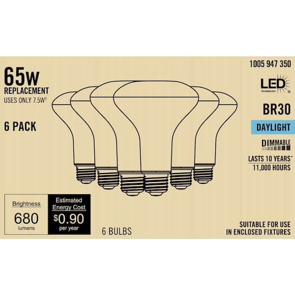 65-Watt Equivalent BR30 Dimmable Flood LED Light Bulb Daylight (12-Pack)