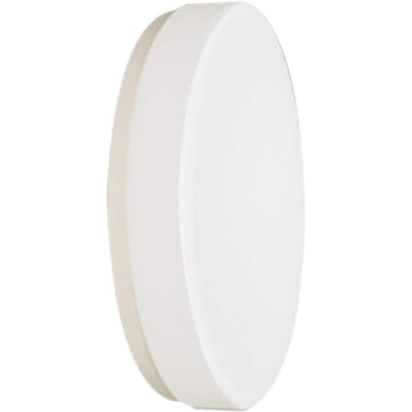 1-Light Small LED Indoor/Outdoor White Bath/Vanity Ceiling Flush Mount/Wall Mount Sconce - Round/Circle Acrylic Shade