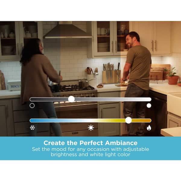 18 in. LED Voice-Enabled Smart Under Cabinet Lighting Kit, 1-Bar Adjustable White Light