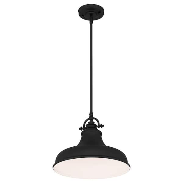 Holly 1-Light Earth Black Pendant with Metal Shade