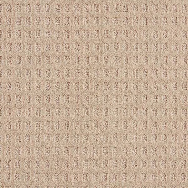Canter  - Gypsy Moth - Beige 38 oz. Triexta Pattern Installed Carpet