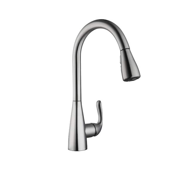 Carla Single-Handle Pull-Down Sprayer Kitchen Faucet in Stainless Steel